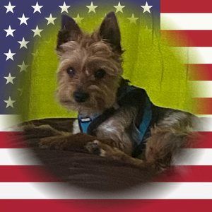 Meet your Posher, Mary ann